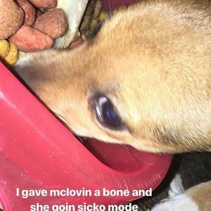 Meet your Posher, Billy